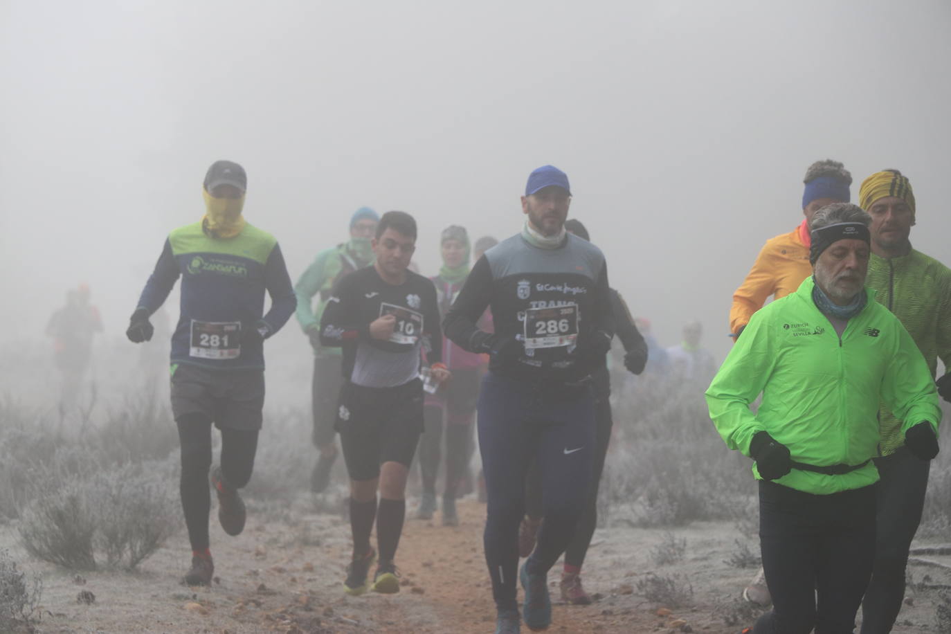 Fotos: Las imágenes de la Transcandamia