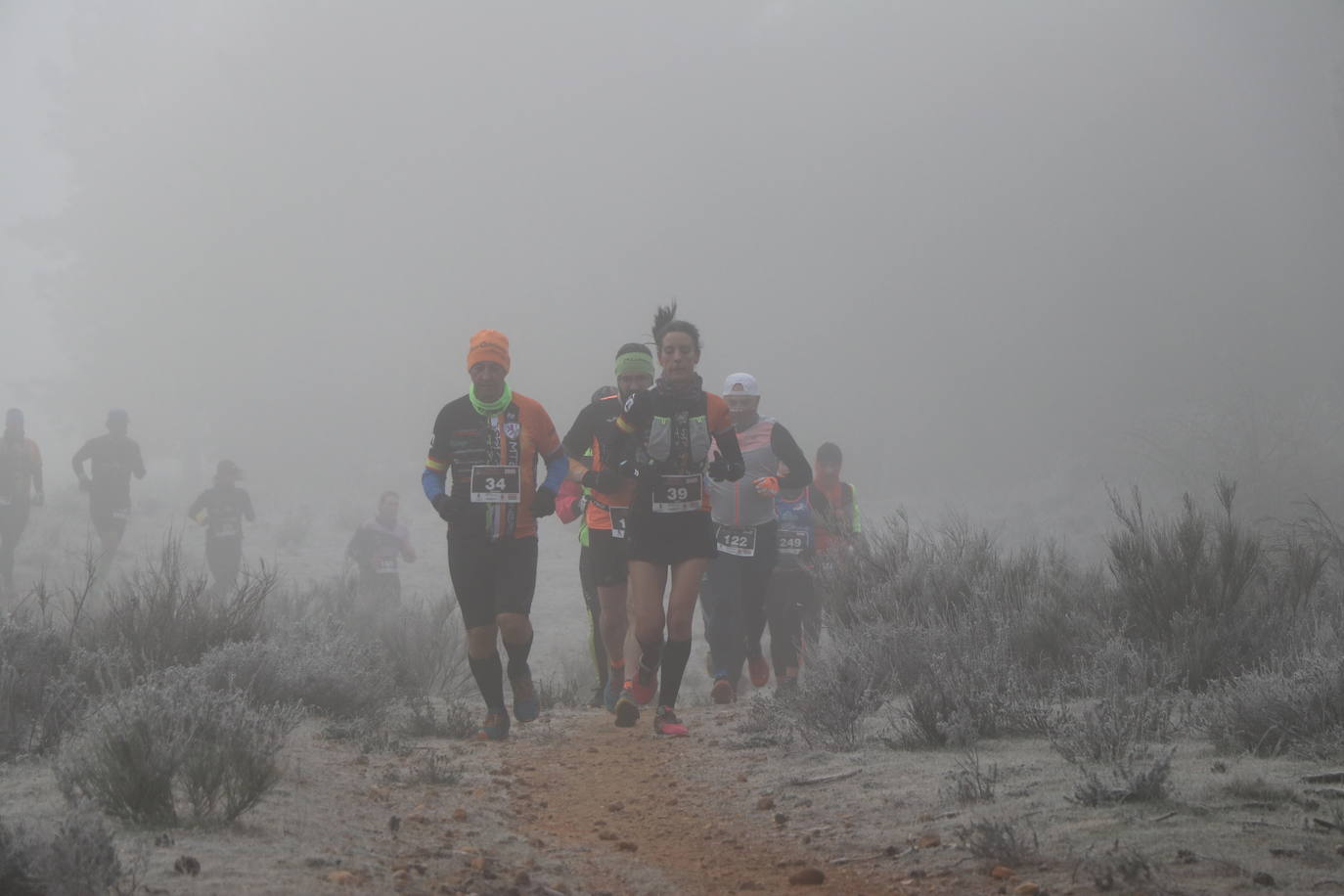 Fotos: Las imágenes de la Transcandamia