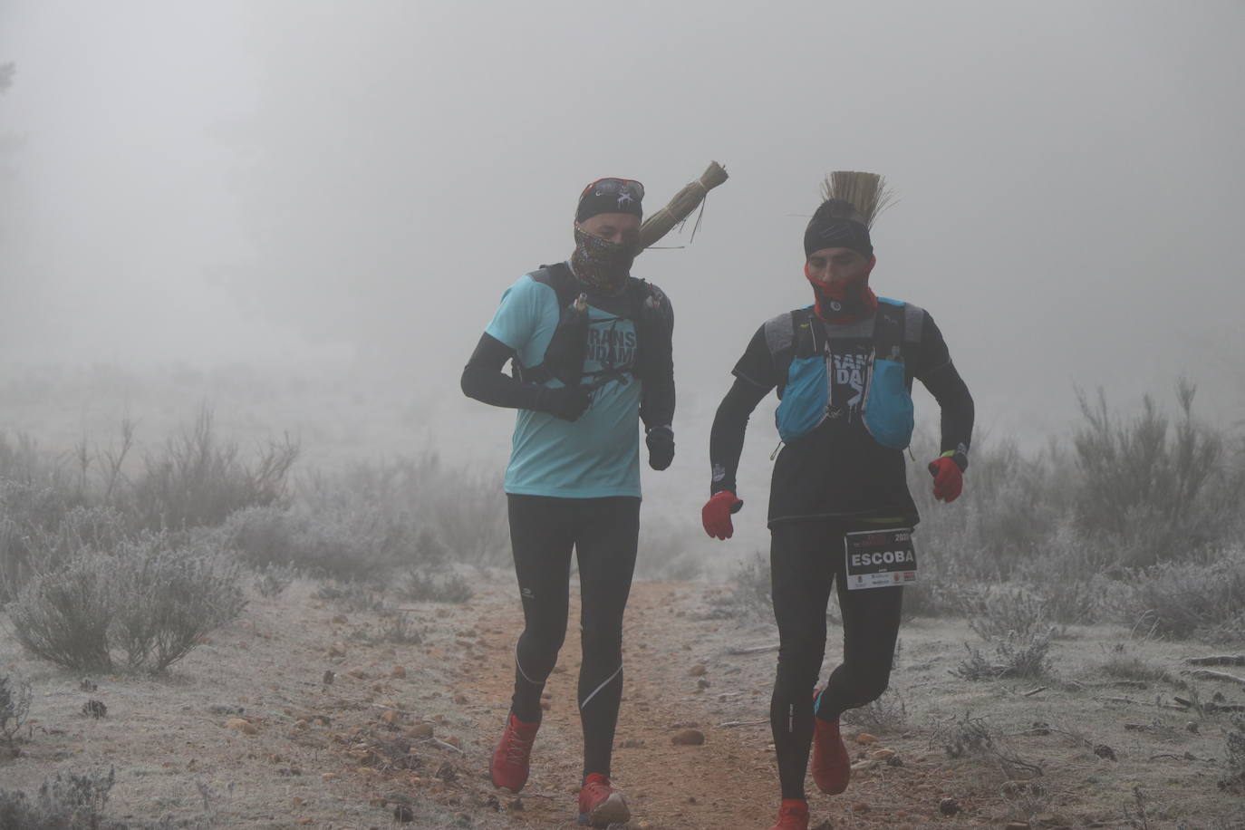 Fotos: Las imágenes de la Transcandamia