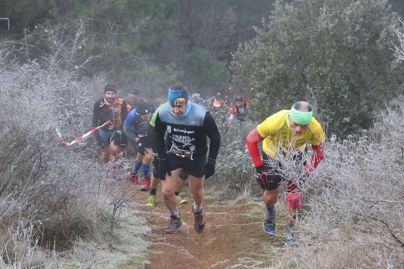 Fotos: Las imágenes de la Transcandamia