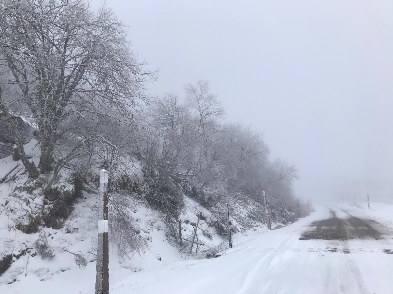 Fotos: Nieve en la provincia de León