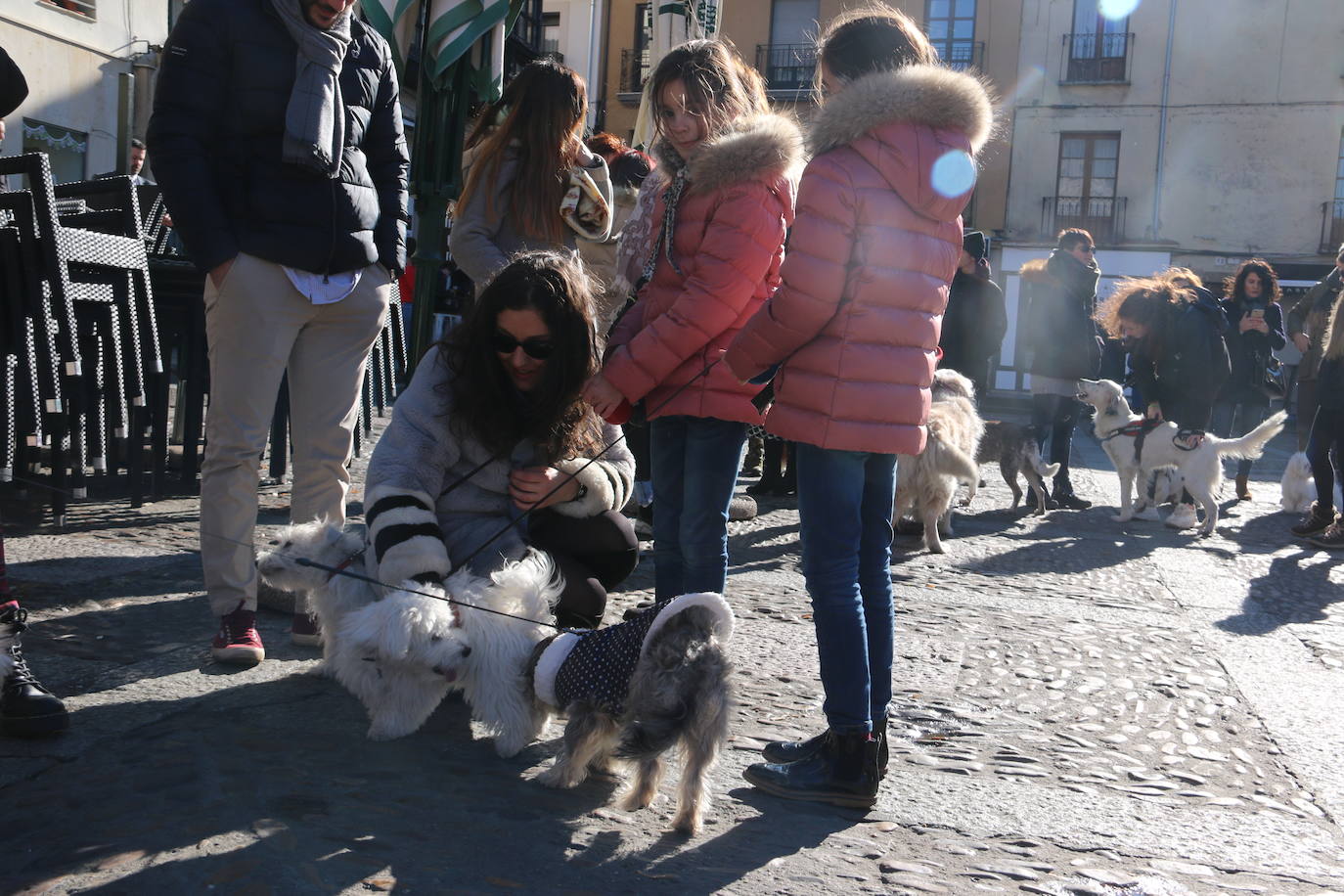 Fotos: Las mascotas toman su bendición
