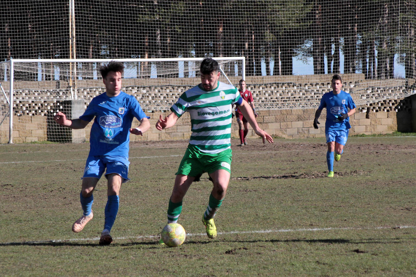 Fotos: Partido entre La Virgen y el Almazán