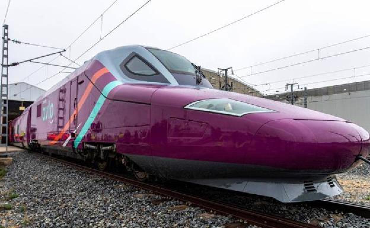 Renfe estudiará a mediados de 2021 la posibilidad de que el Ave Low Cost llegue León