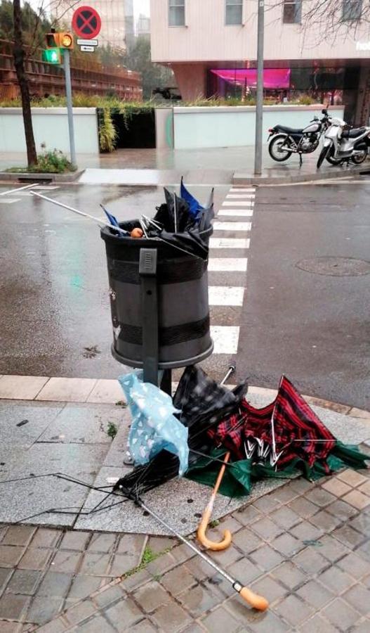 Una papelera de Barcelona repleta de paraguas rotos. 