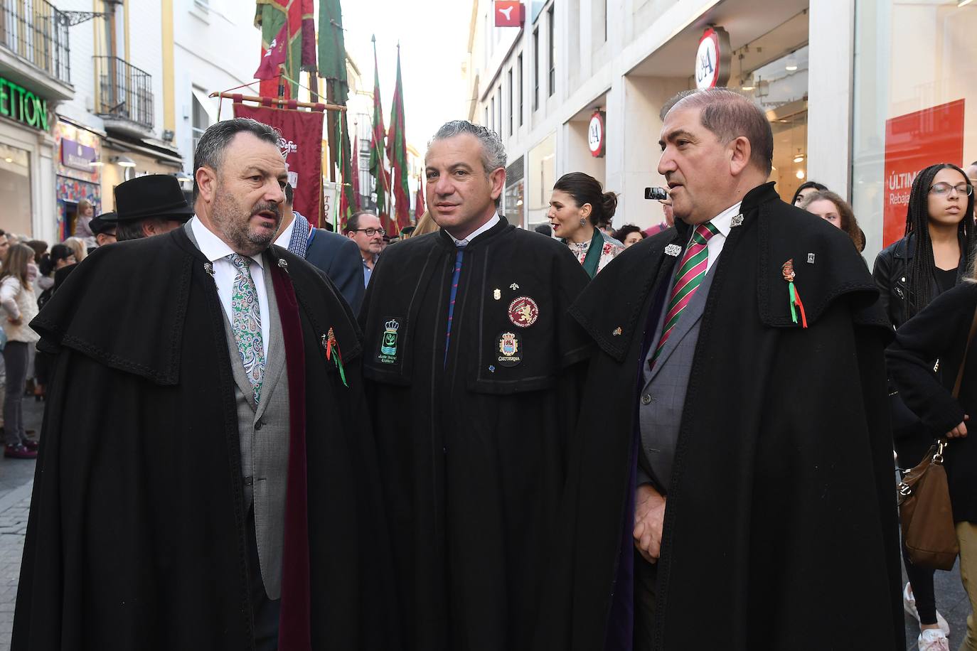 Fotos: La Diputación y los pendones pasean por Sevilla