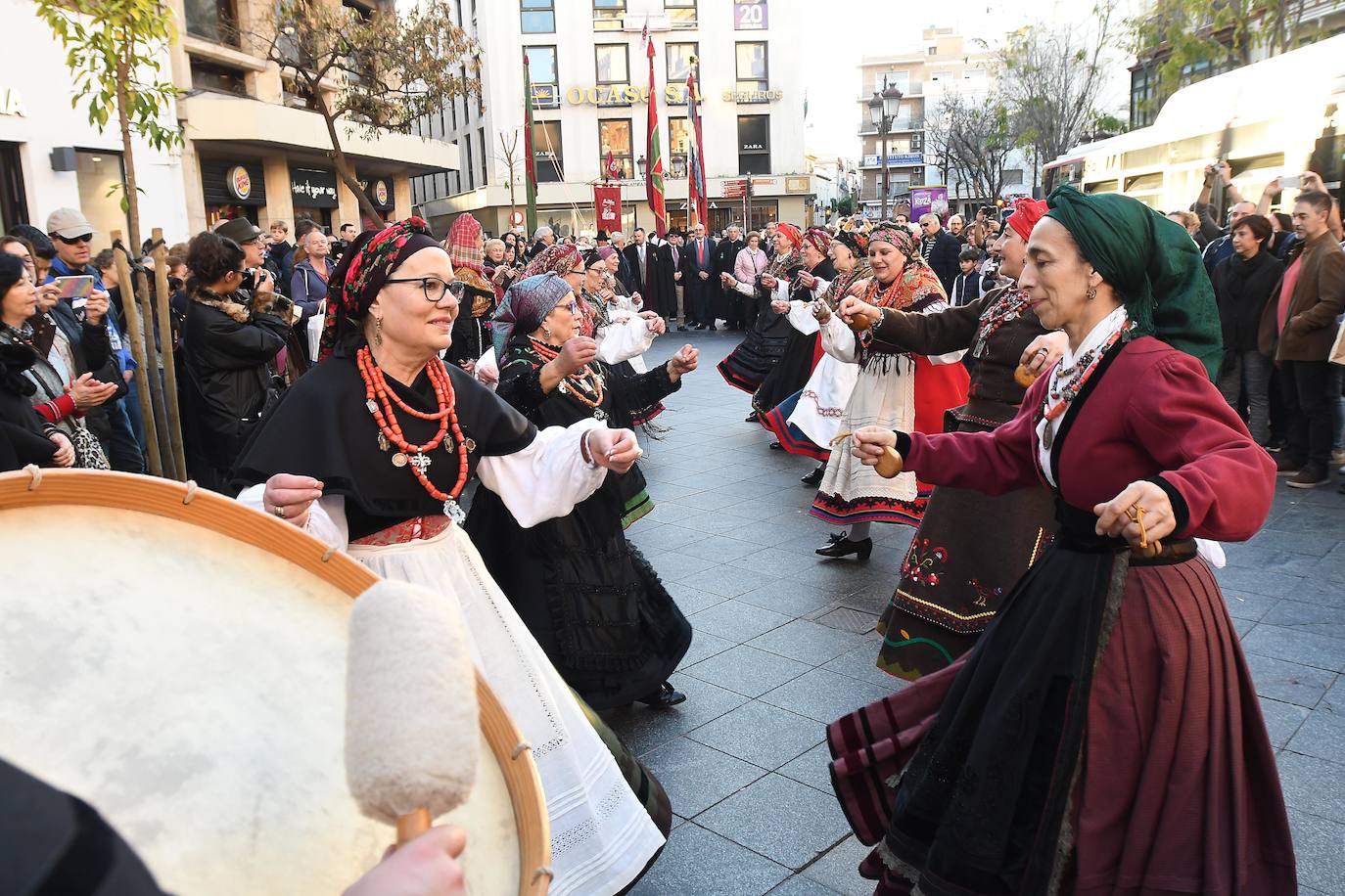 Fotos: La Diputación y los pendones pasean por Sevilla