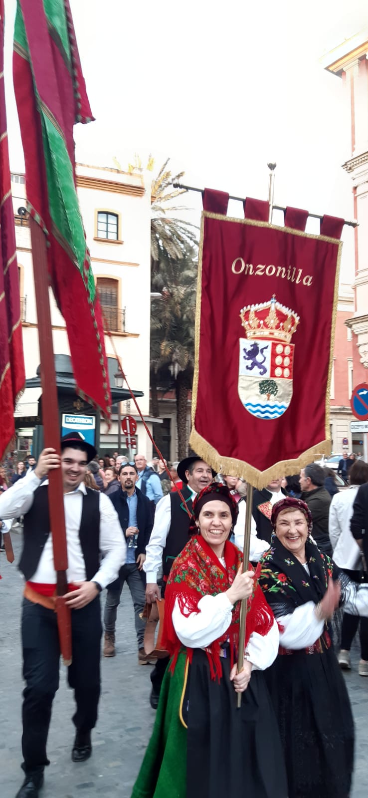 Fotos: La Diputación y los pendones pasean por Sevilla