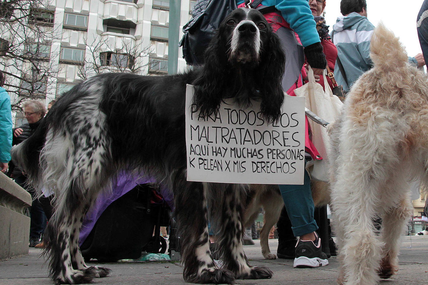 Fotos: Manifestación en contra de la caza con galgos en León