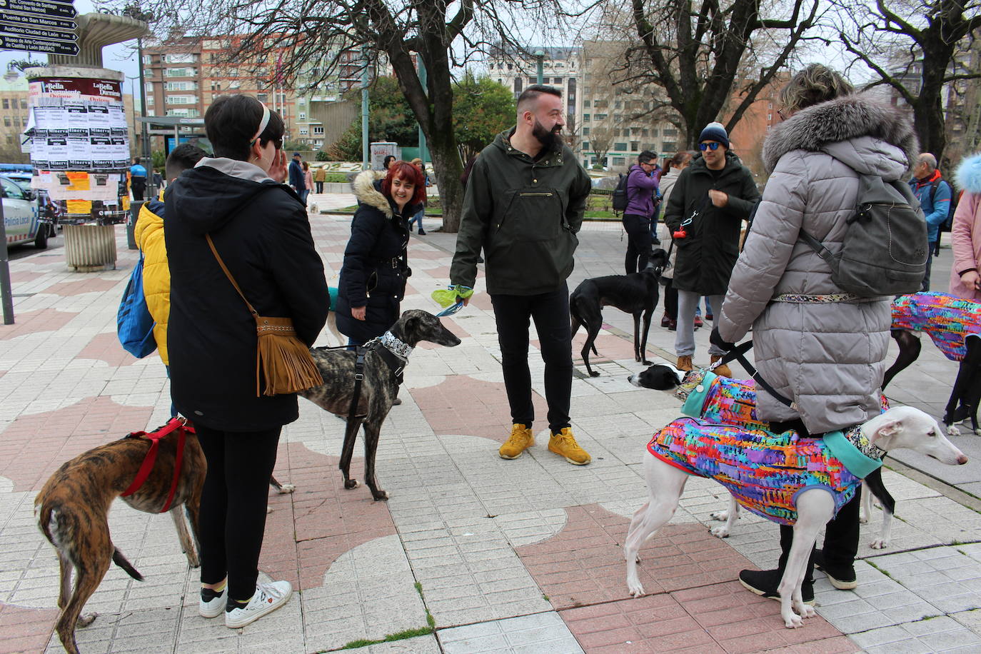 Fotos: Manifestación en contra de la caza con galgos en León