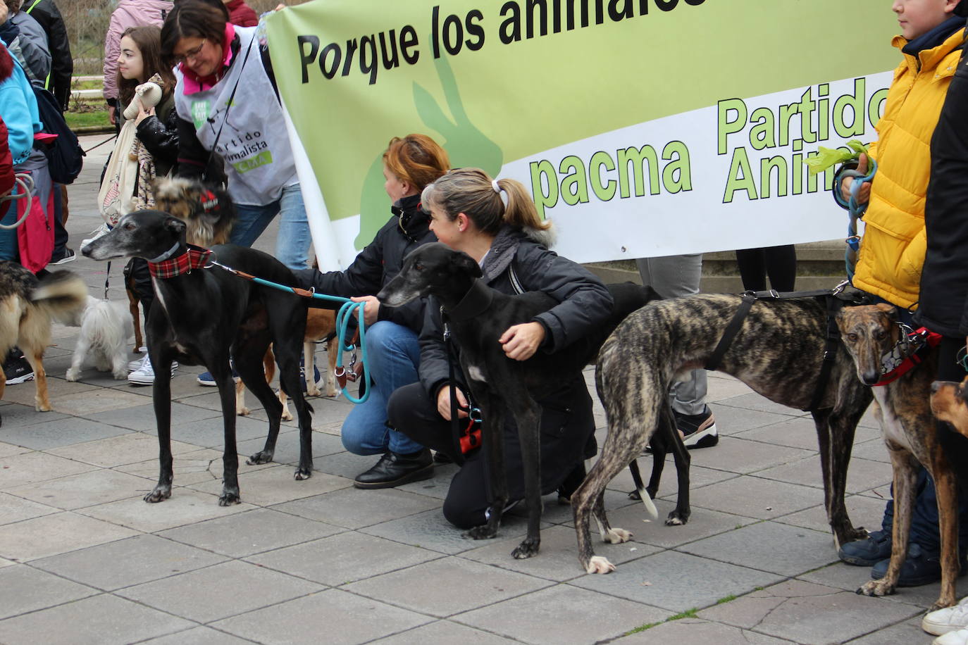 Fotos: Manifestación en contra de la caza con galgos en León