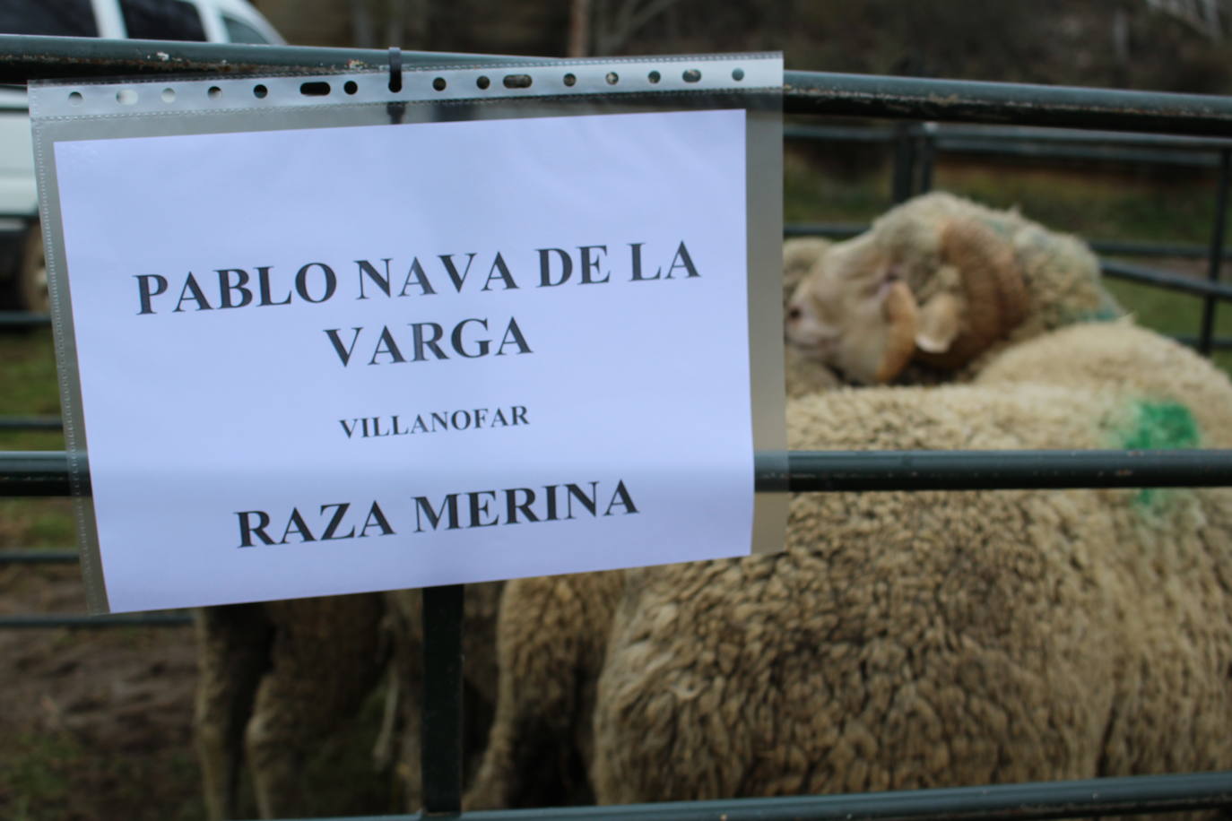 La comarca de Rueda no ha faltado a su cita con la tradición y ha vuelto a honrar a San Blás en una jornada festiva y de exaltación de la tierra.