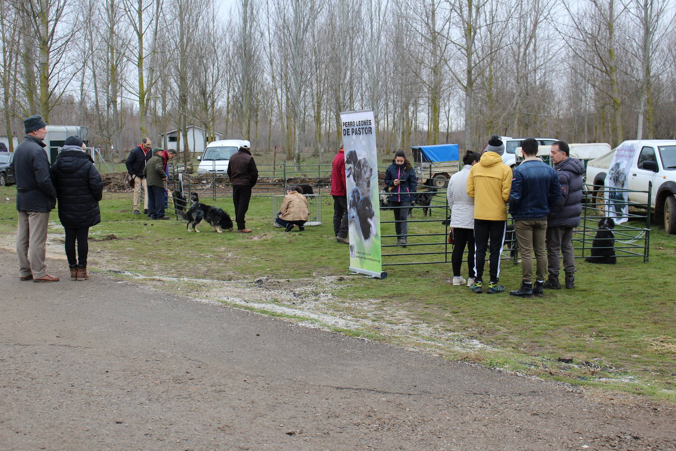 La comarca de Rueda no ha faltado a su cita con la tradición y ha vuelto a honrar a San Blás en una jornada festiva y de exaltación de la tierra.