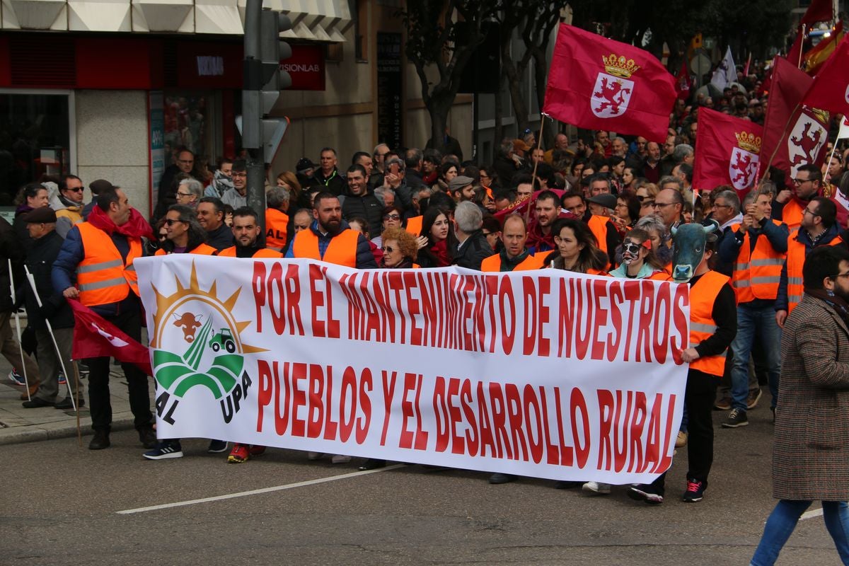 Fotos: La sociedad leonesa se suma a la manifestación del 16F