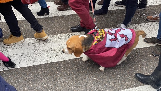 Fotos: Imágenes de la manifestación del 16F en León