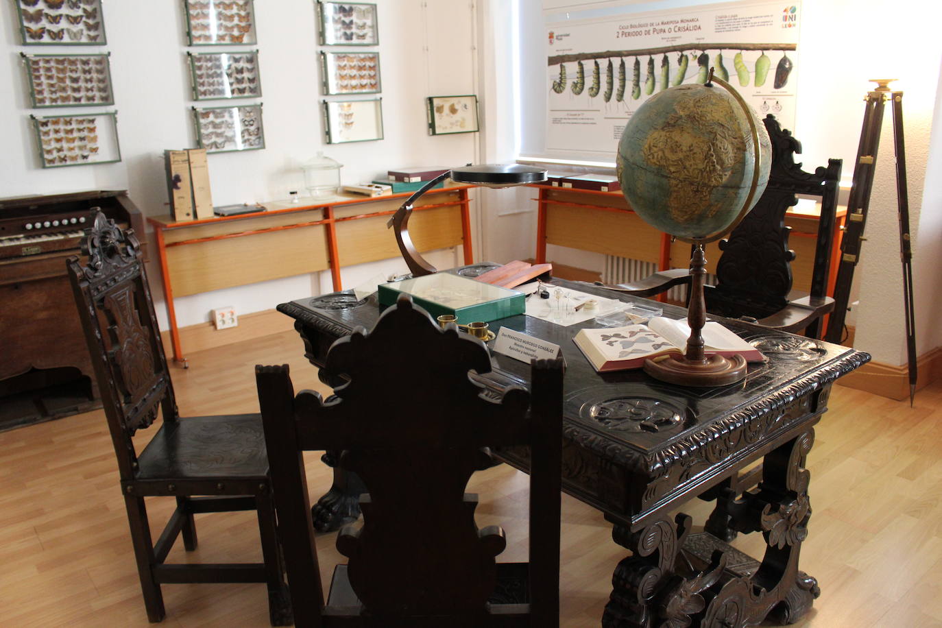 Fotos: Nuevo museo de la Universidad de León en la antigua Escuela de Minas