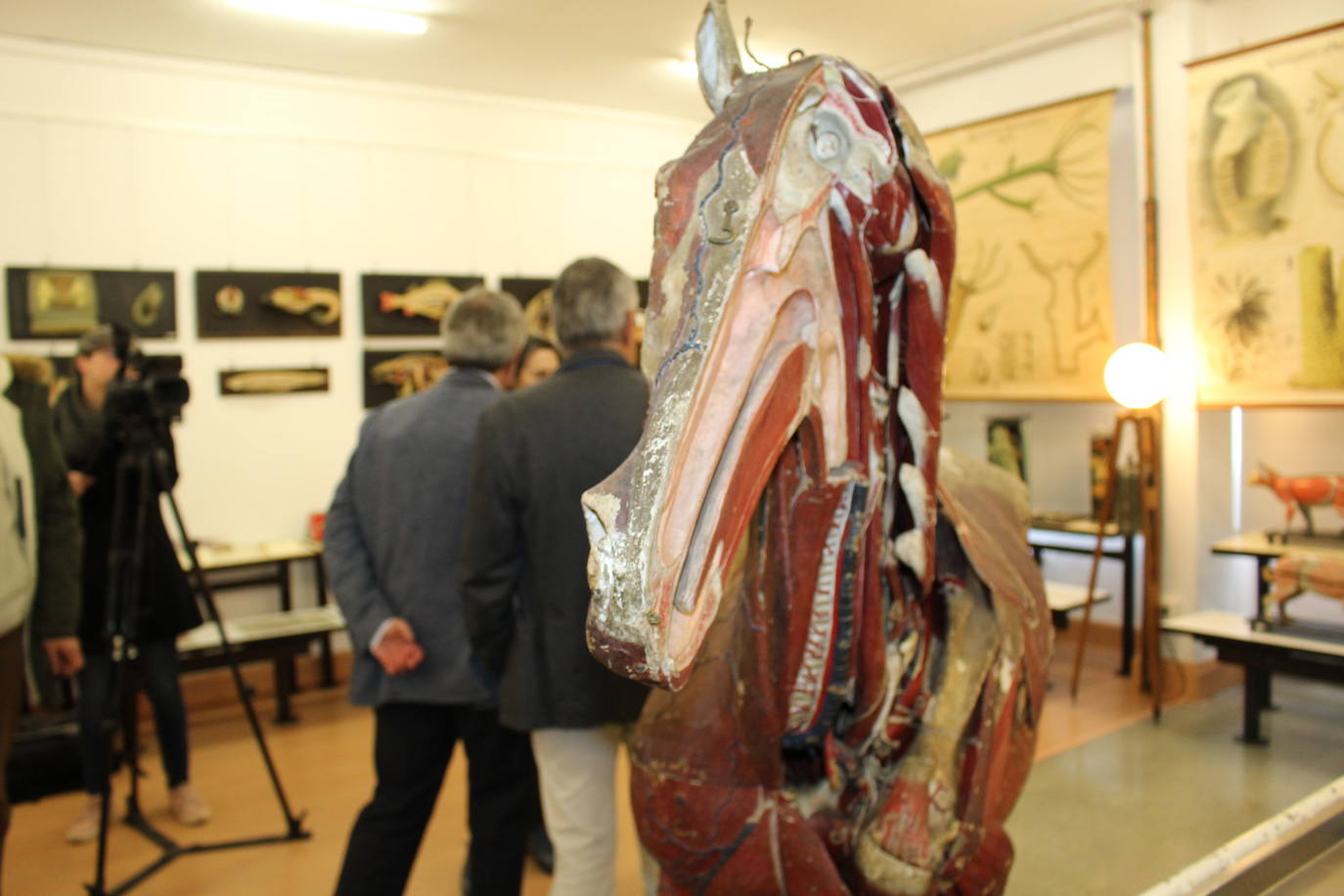 Fotos: Nuevo museo de la Universidad de León en la antigua Escuela de Minas