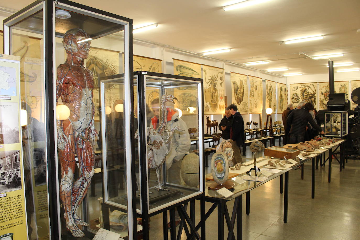 Fotos: Nuevo museo de la Universidad de León en la antigua Escuela de Minas