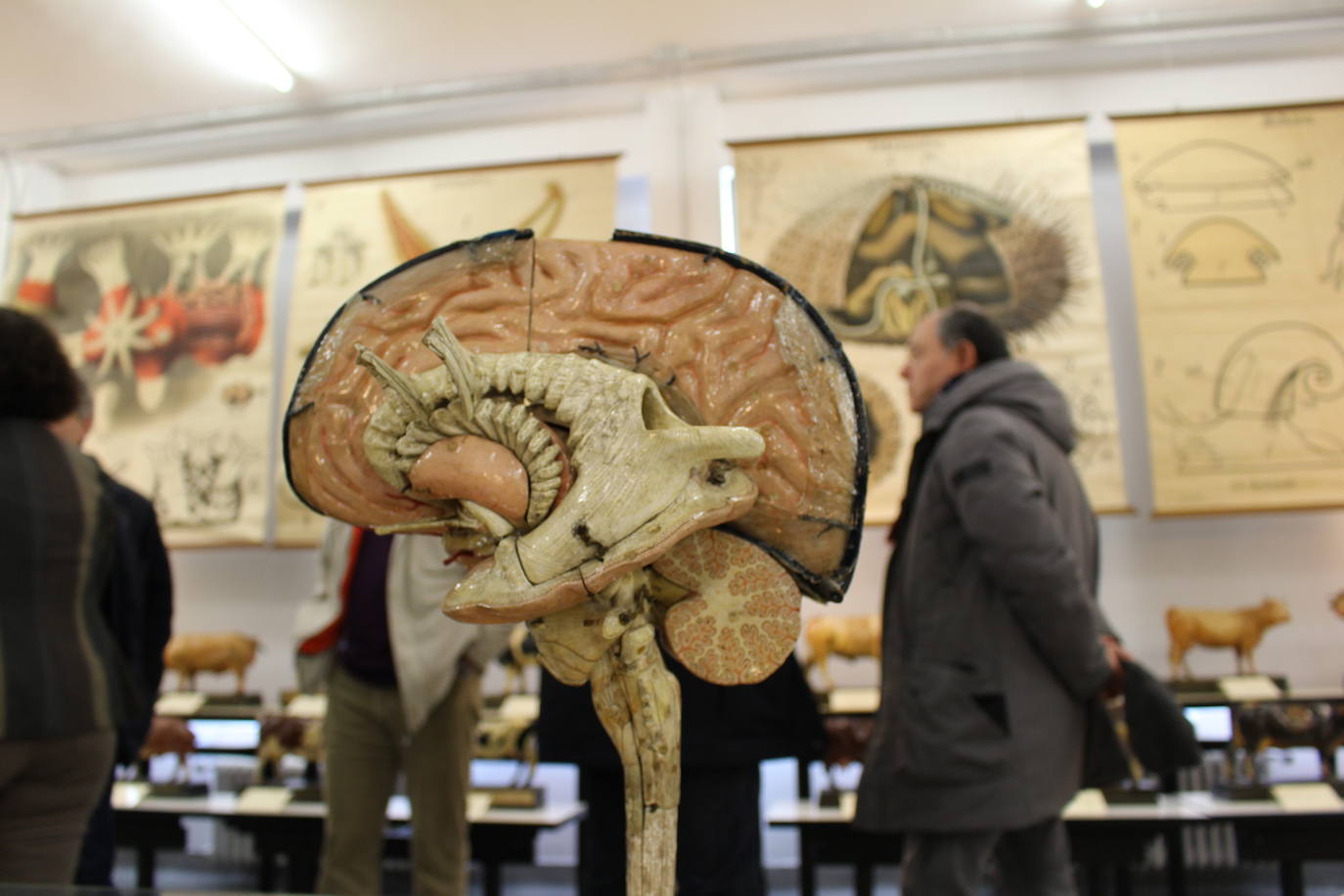 Fotos: Nuevo museo de la Universidad de León en la antigua Escuela de Minas