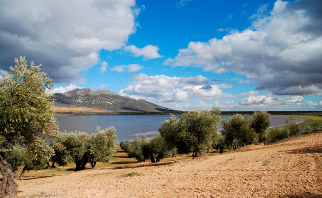 Parque de Navas de Malagón