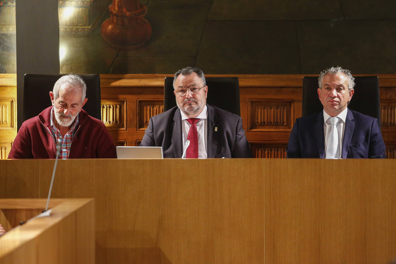 Fotos: Pleno ordinario de febrero de la Diputación de León