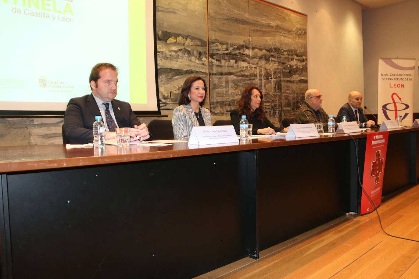 Fotos: IV Jornada de Farmacovigilancia de la Red de Farmacias Centinela de Castilla y León