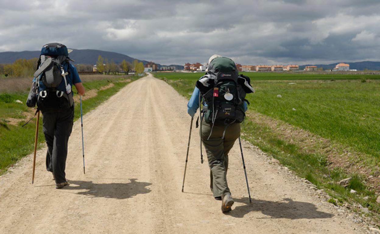 Camino de Santiago Francés.