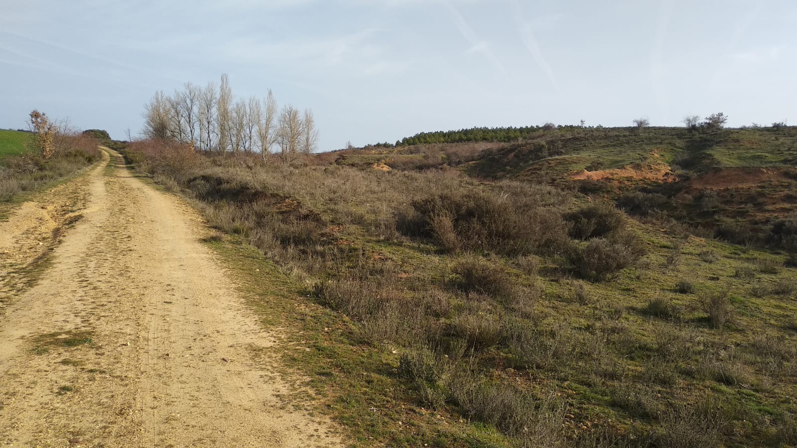 La investigación bajara el ajuste de cuentas como principal móvil en el crimen cometido en Valdefresno. En las imágenes, la zona en la que apareció el cuerpo.