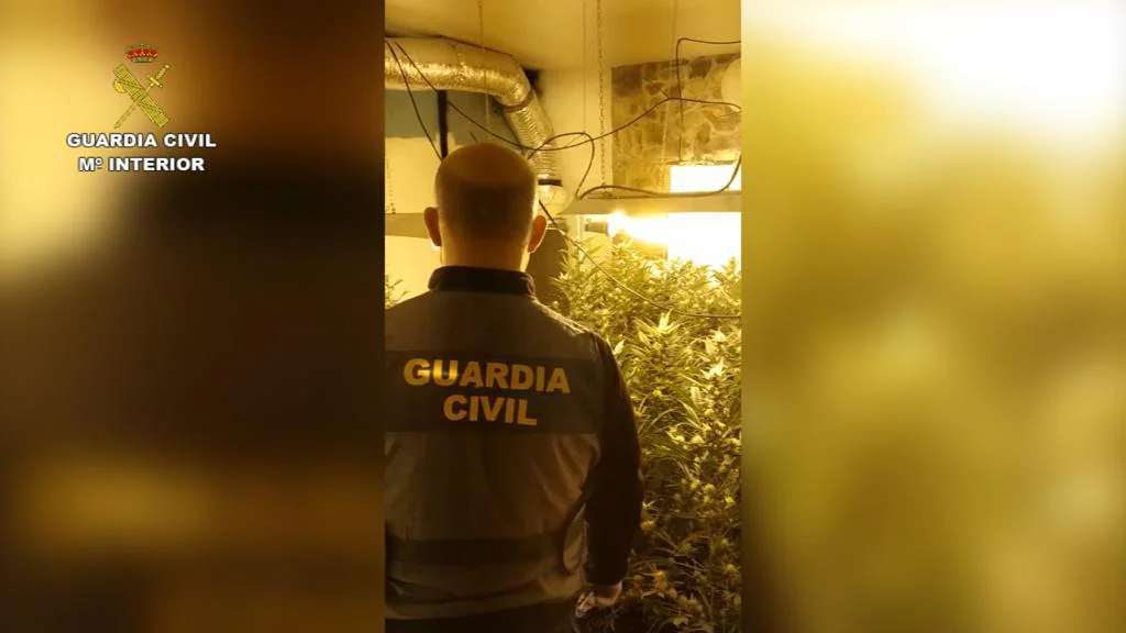 a Guardia Civil desmantela una organización criminal dedicada al tráfico de marihuana y cocaína desde Asturias hacia León. En total han sido detenidas 5 personas, habiéndose realizado un total de 4 registros domiciliarios.