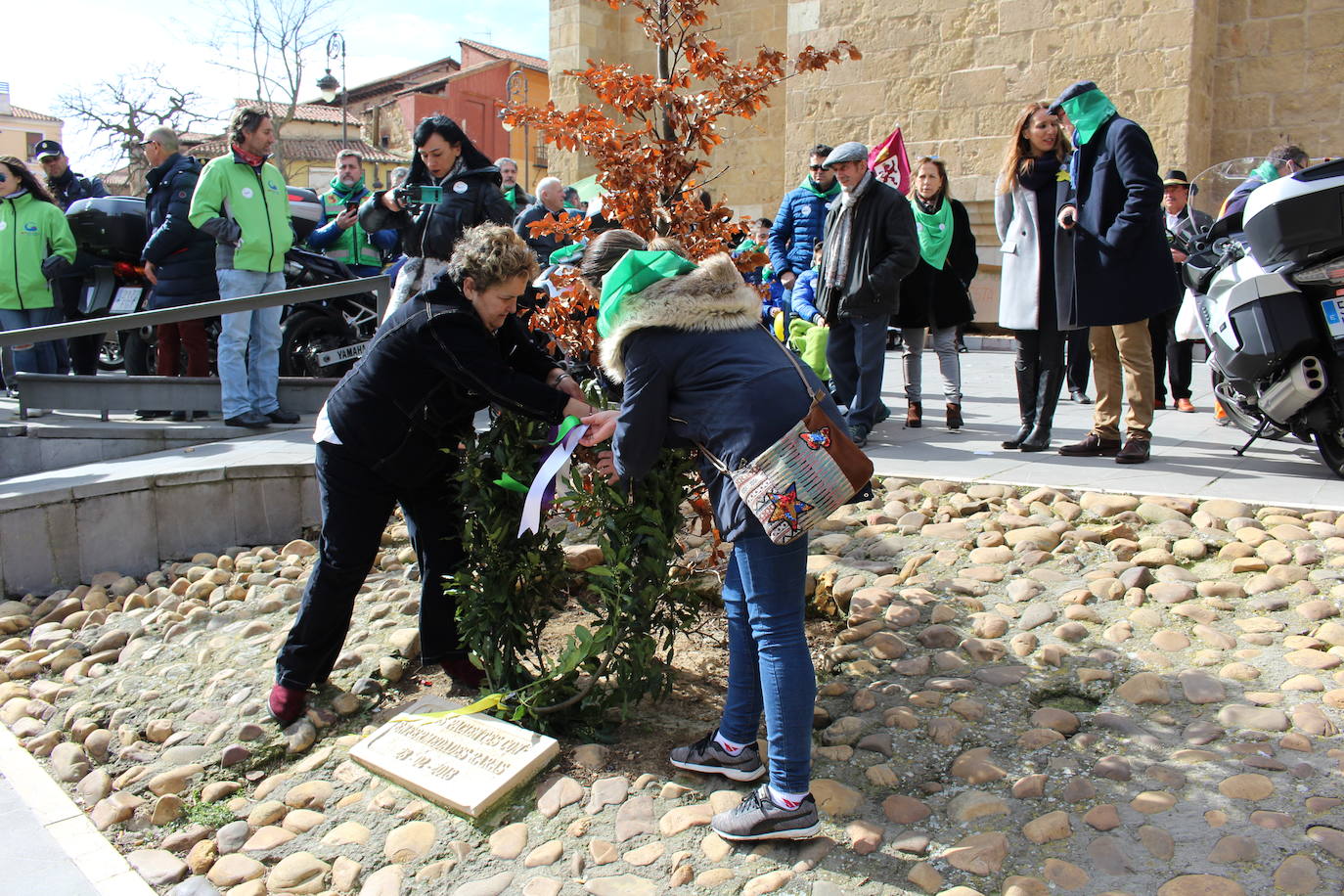 Fotos: Día de las Enfermedades Raras