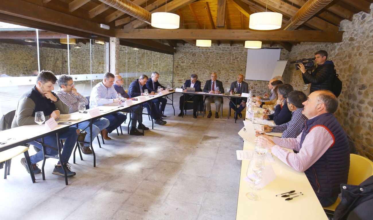 El consejero de Agricultura, Ganadería y Desarrollo Rural, Jesús Julio Carnero, anunció este viernes que los agricultores de la comarca del Bierzo dispondrán de una prórroga, hasta el 30 de marzo, para pedir ayudas para la instalación de sistemas contra las heladas y de mallas contra el granizo.