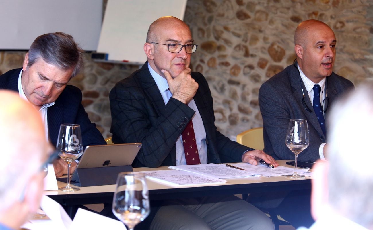 El consejero de Agricultura, Ganadería y Desarrollo Rural, Jesús Julio Carnero, anunció este viernes que los agricultores de la comarca del Bierzo dispondrán de una prórroga, hasta el 30 de marzo, para pedir ayudas para la instalación de sistemas contra las heladas y de mallas contra el granizo.