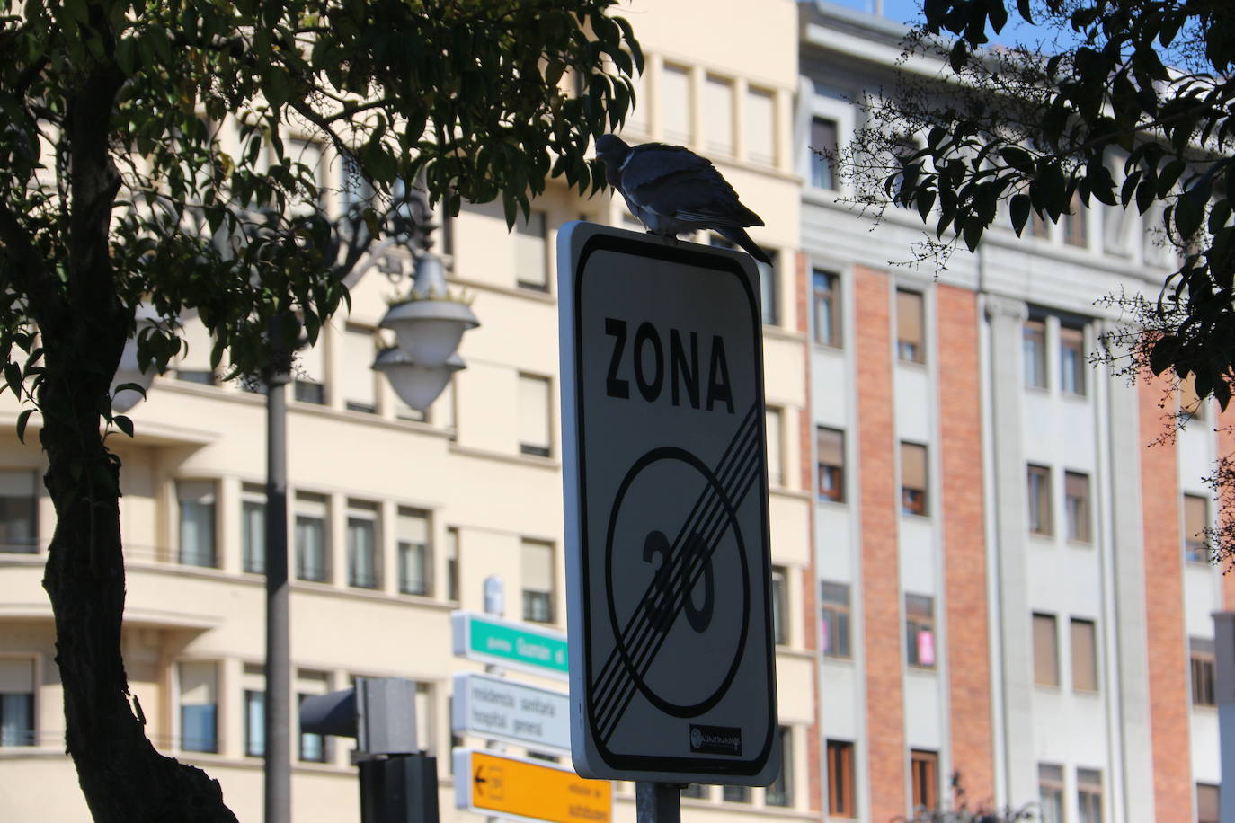 Fotos: León, sin Rastro