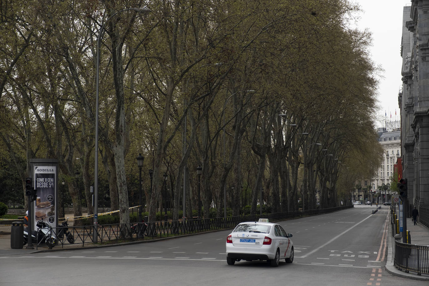 Paseo del Prado 