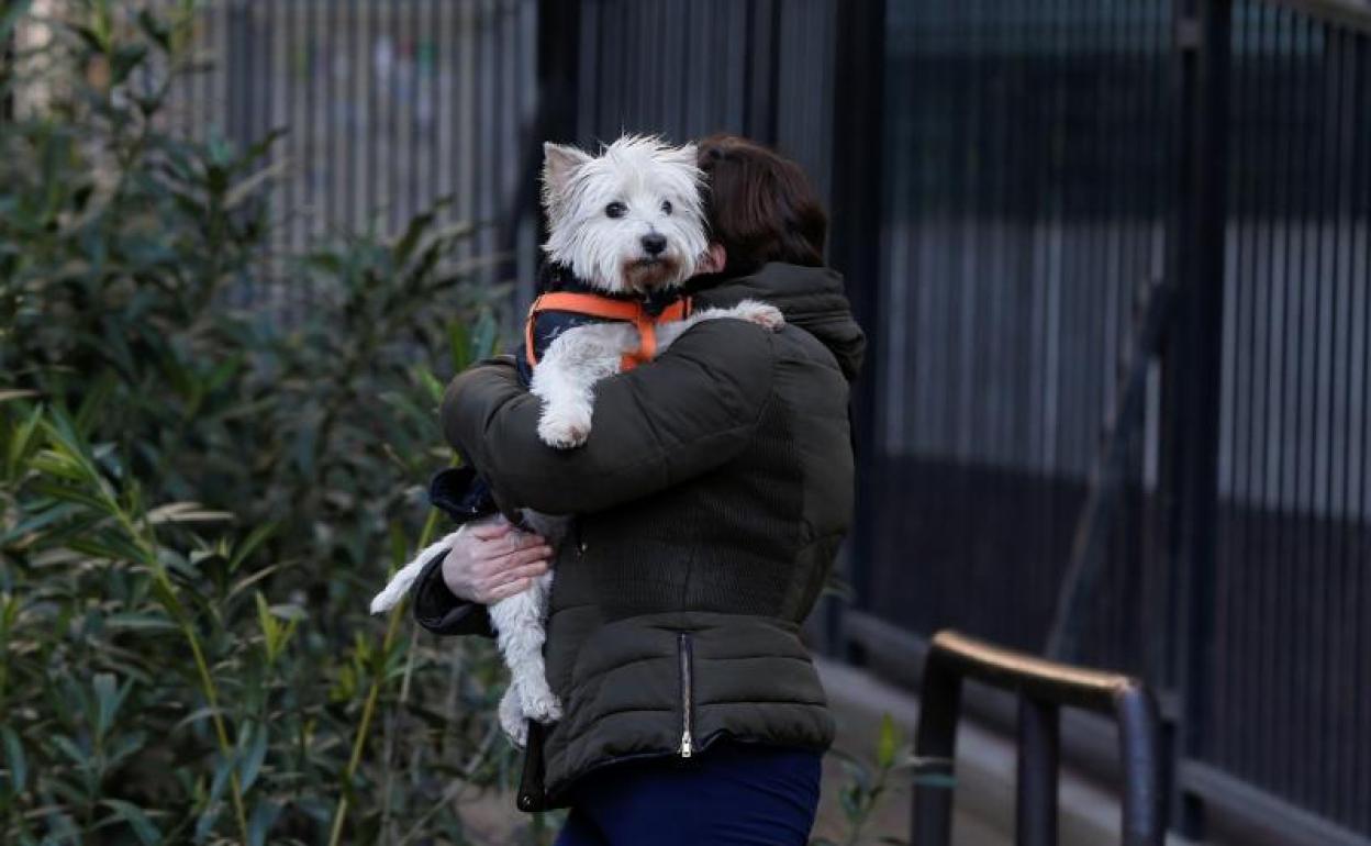 No hay evidencias de que las mascotas transmitan la covid-19