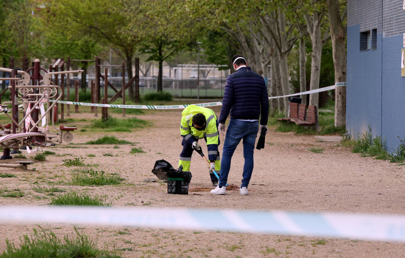 Fotos: Hallado muerto un joven de 18 años con un golpe en la cabeza en Laguna de Duero