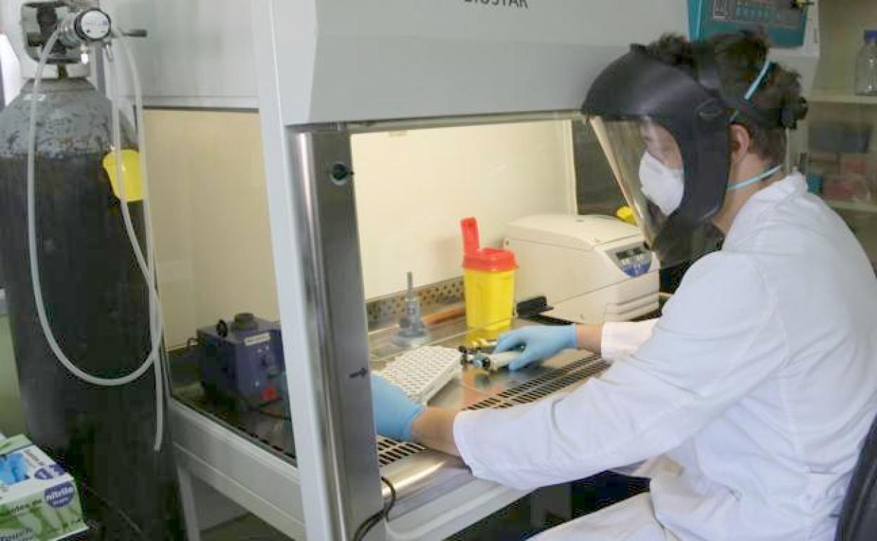 El Laboratorio Regional de Sanidad Animal recogerá los test de la covid-19 de la provincia de León