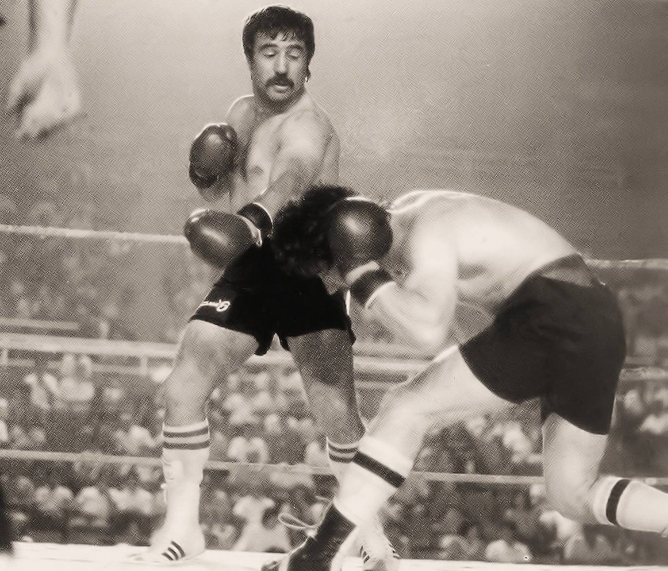 Roberto Castañón, en un combate en el Palacio de los Deportes de León.