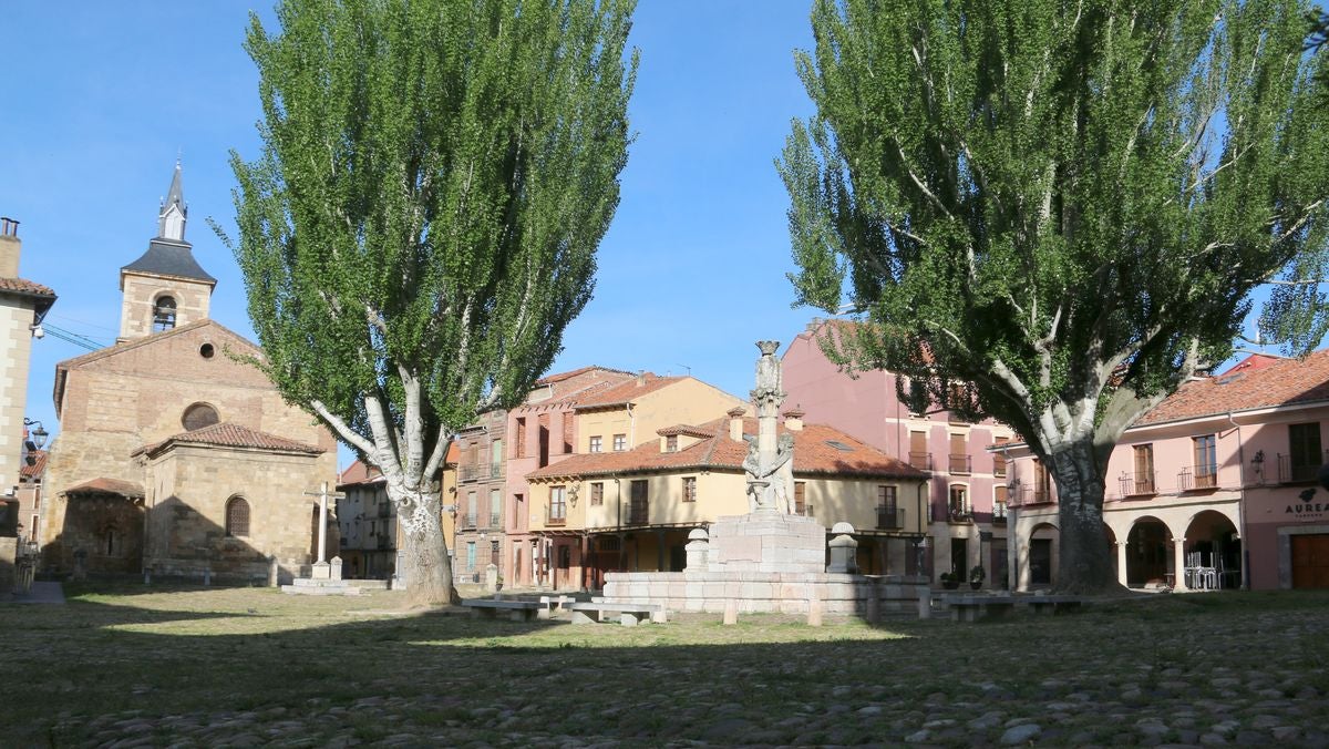 Fotos: El &#039;verdín&#039; vuelve a la Plaza del Grano