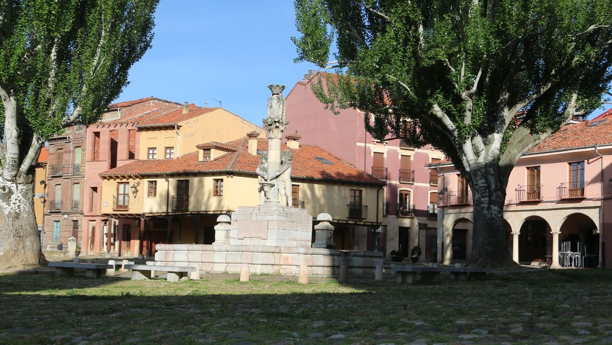 Fotos: El &#039;verdín&#039; vuelve a la Plaza del Grano