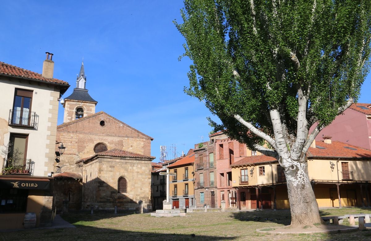 Fotos: El &#039;verdín&#039; vuelve a la Plaza del Grano