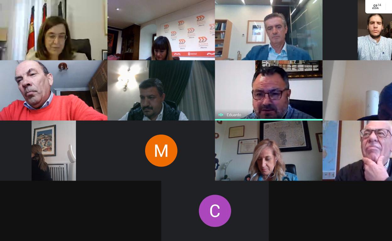 Reunión de la comisión de gobierno de la FRMP celebrada de forma telemática este viernes.