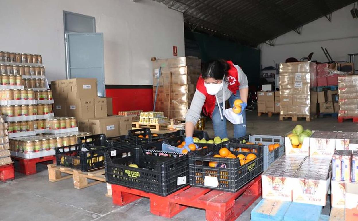 Preparación de lotes de alimentos para repartir.