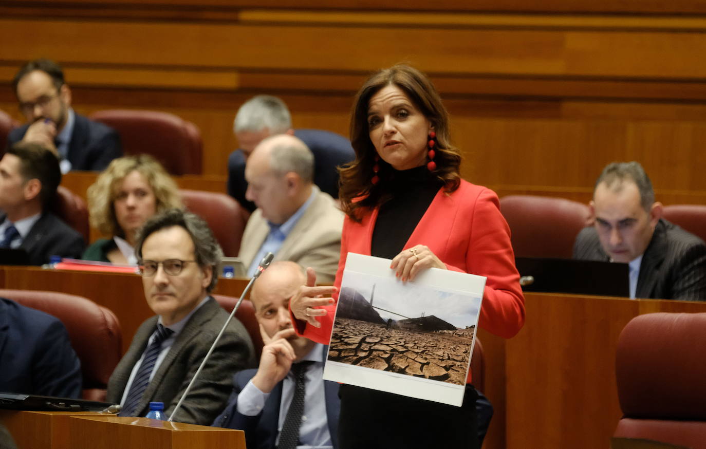 Ana Carlota Amigo, en las Cortes de Castilla y León. 