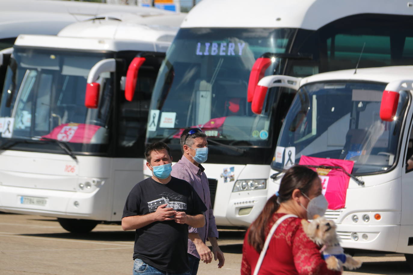 Los buses del servicio discrecional salen a las calles para reivindicar ayudas al sector.