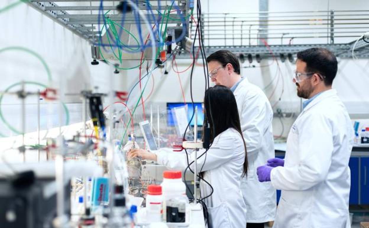 Un grupo de investigadores de la ULE.