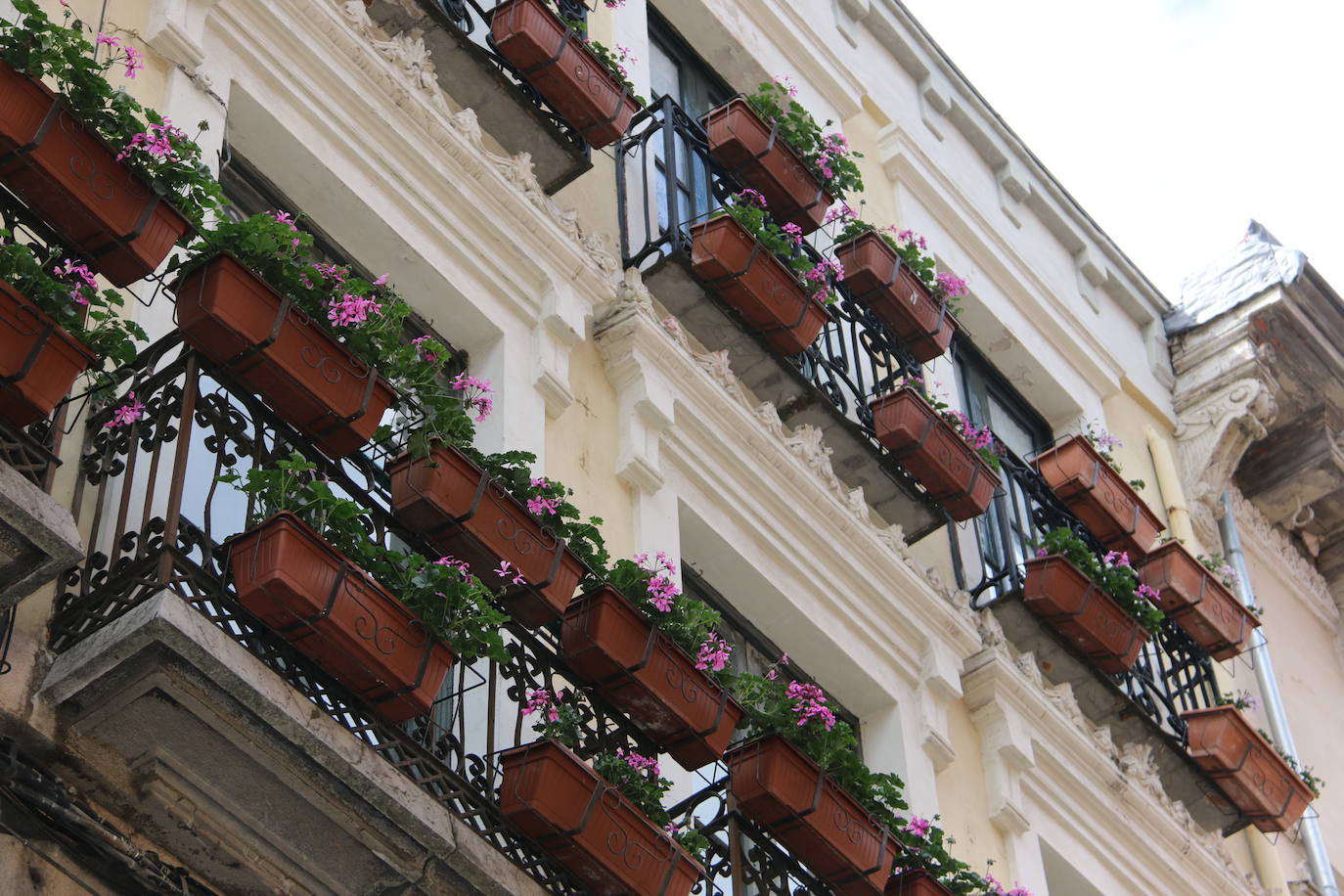 Fotos: De flor en flor en la calle Ancha