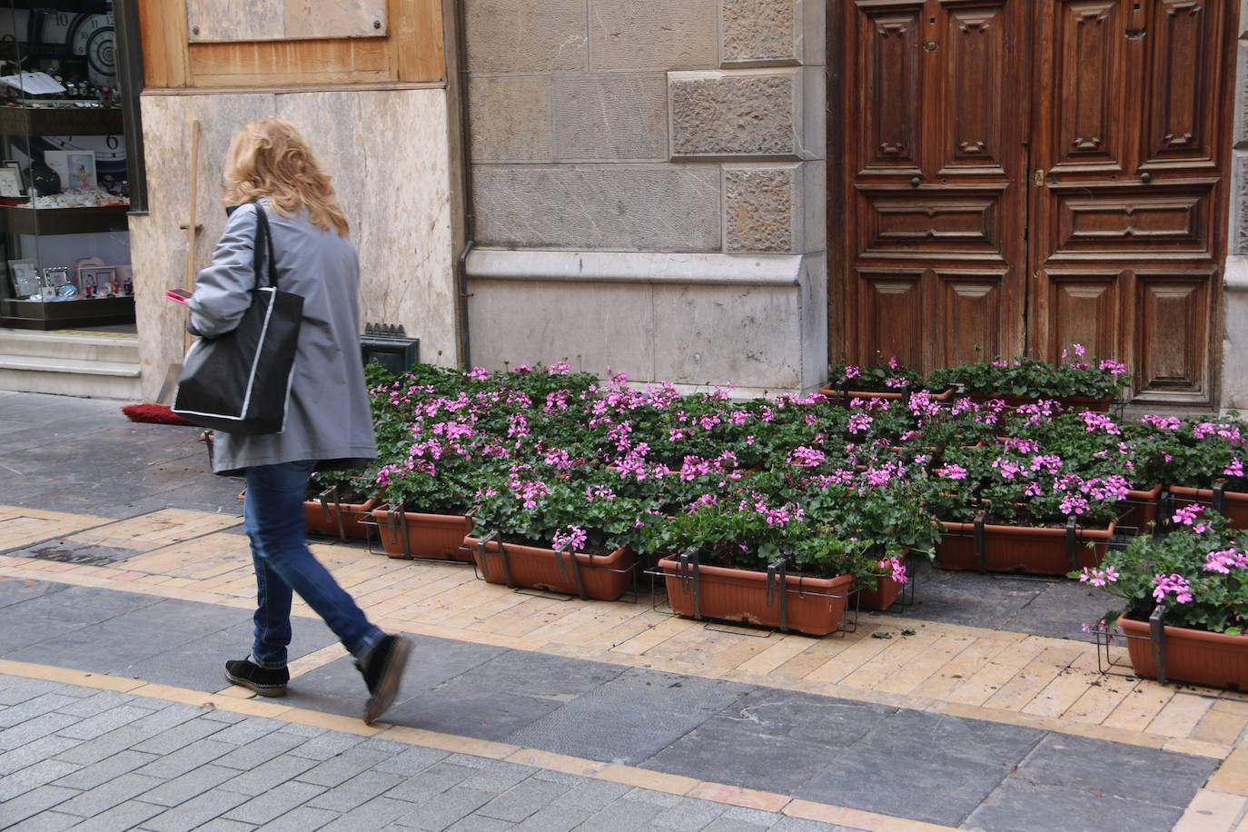 Fotos: De flor en flor en la calle Ancha