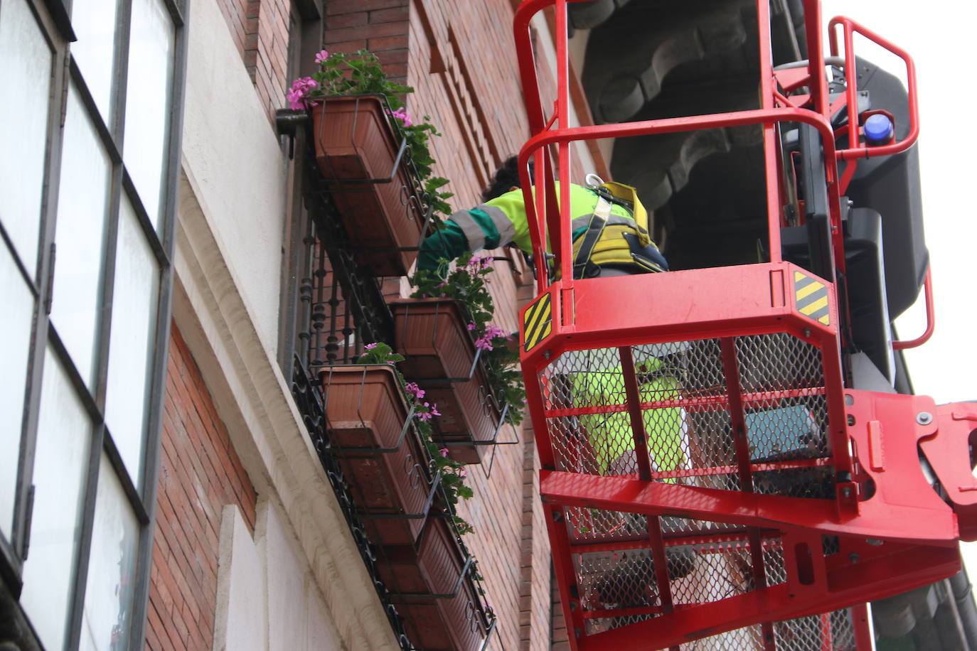 Fotos: De flor en flor en la calle Ancha