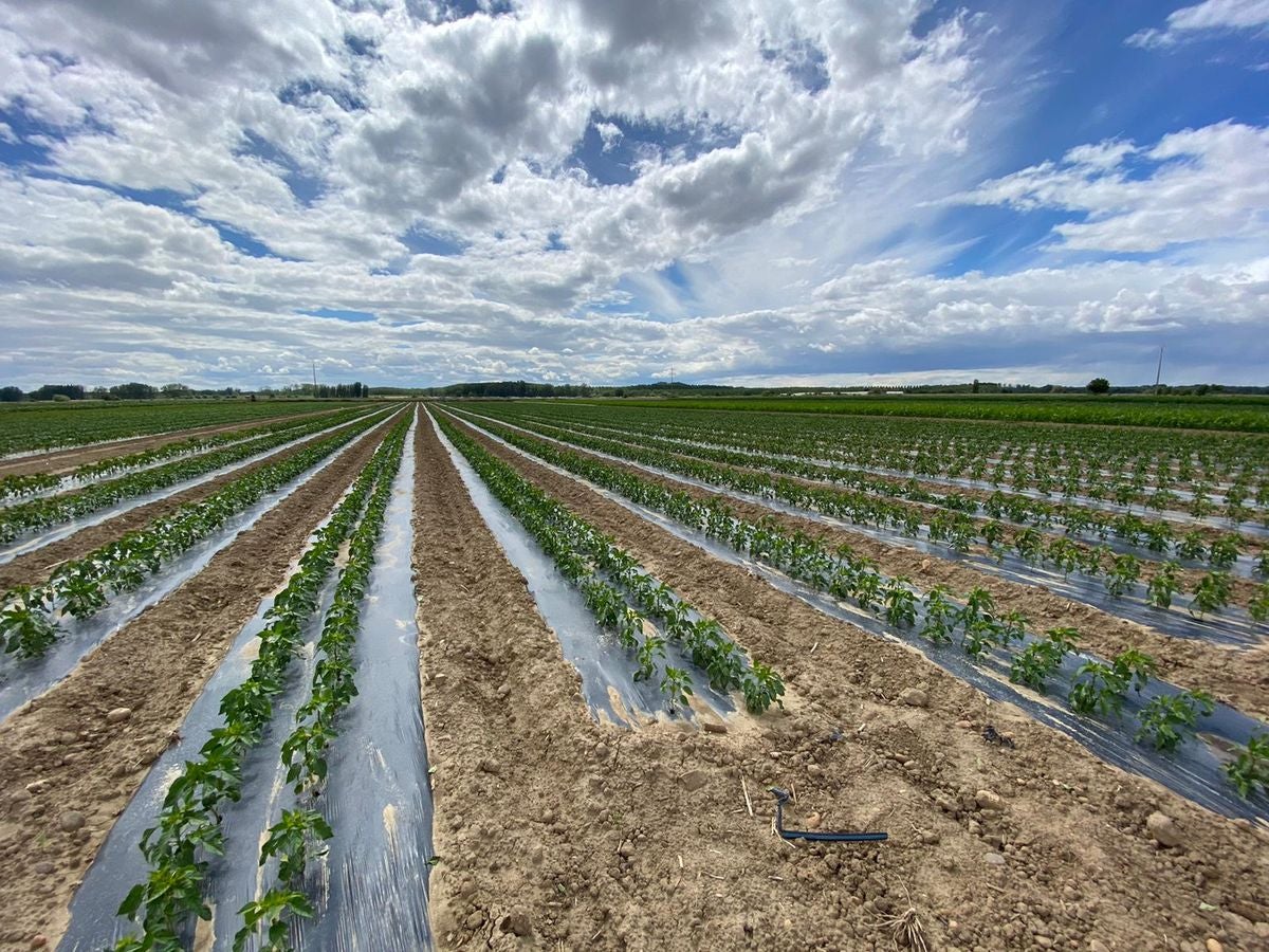 Fresno de la Vega es famoso por su huerta.